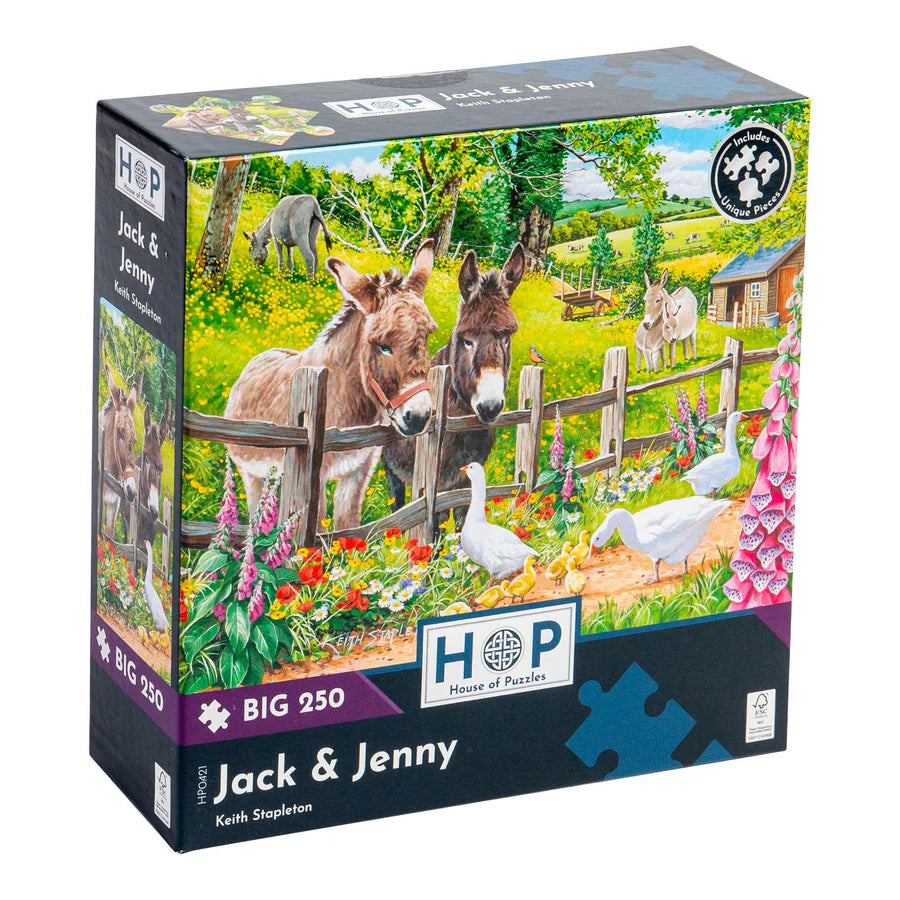 jack and jenny puzzle box 