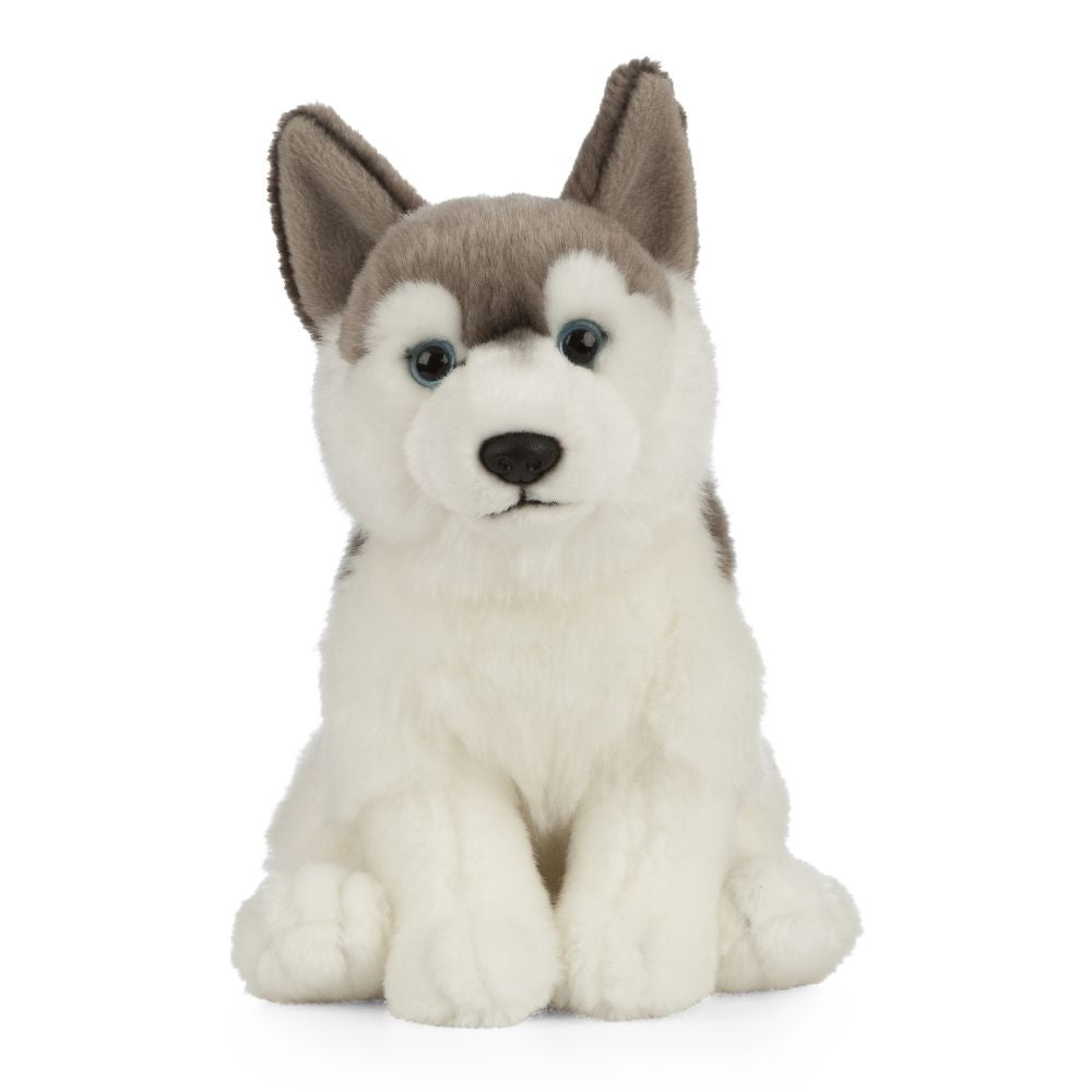 husky plush 