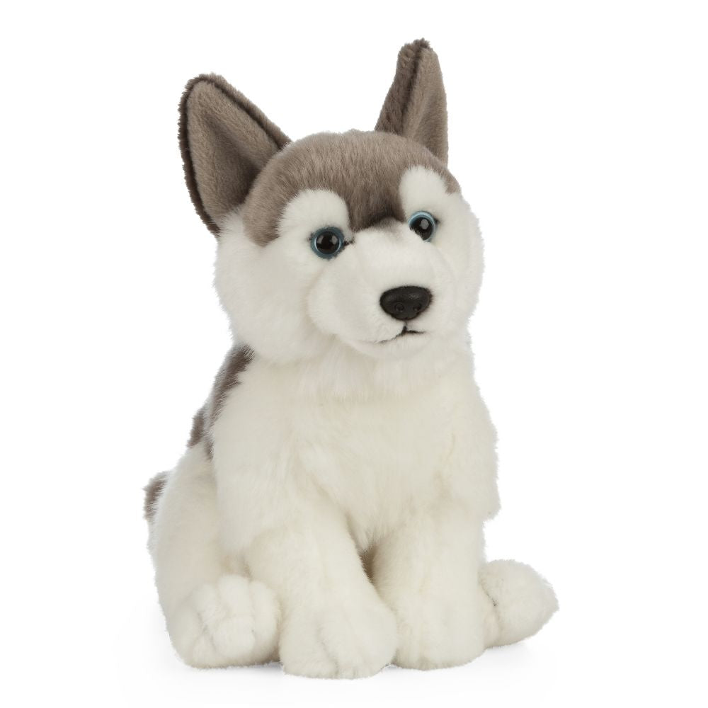 husky plush from the side 