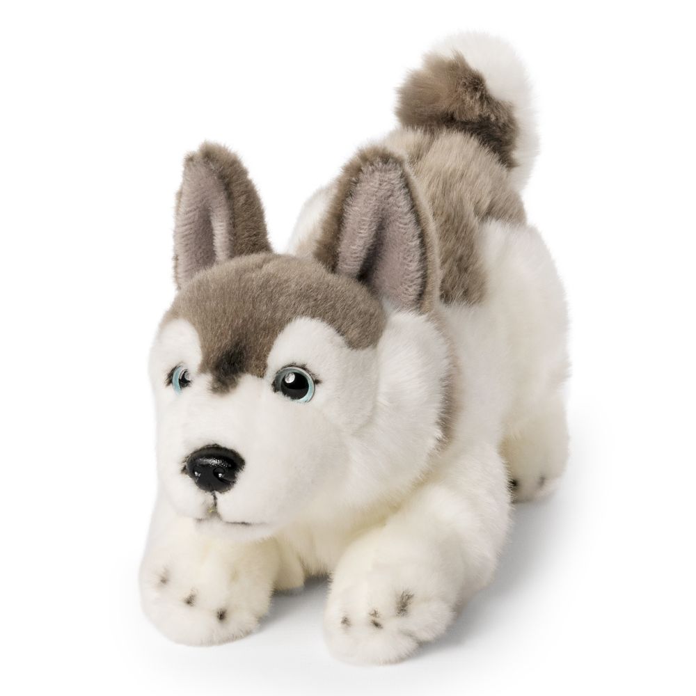 husky plush 