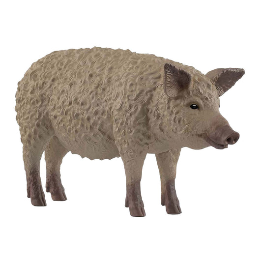 mangalica pig figure 