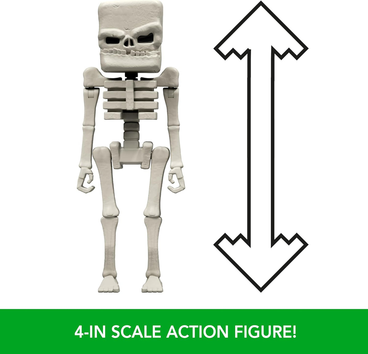 scale of skeleton figure
