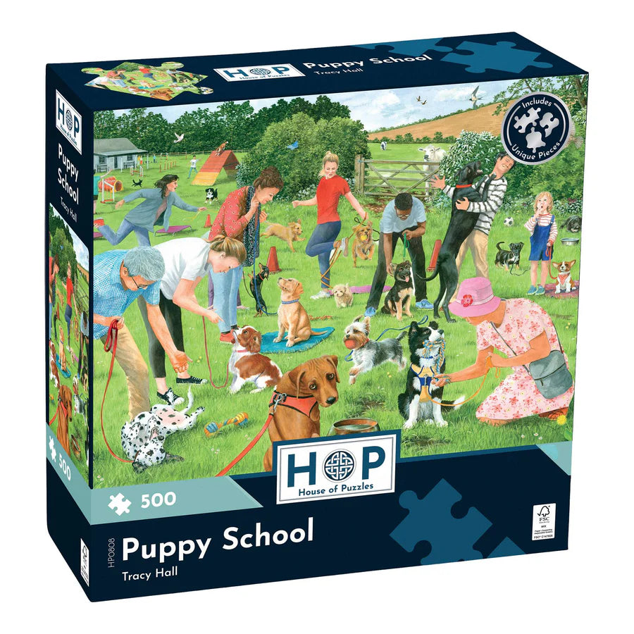 puppy school puzzle box 