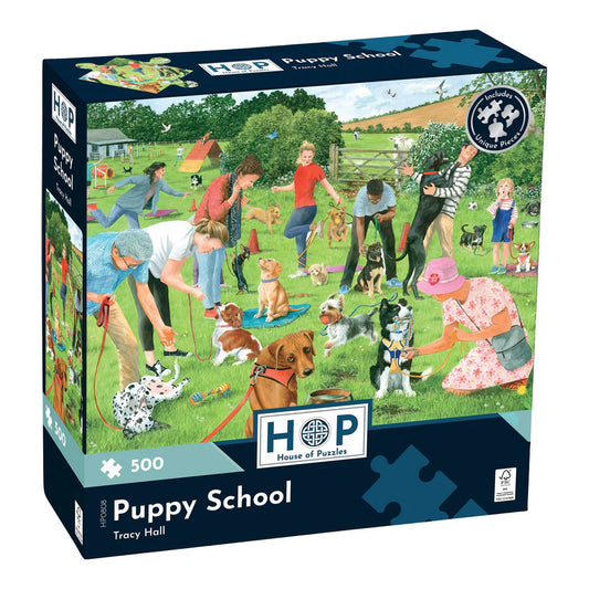 puppy school puzzle box 