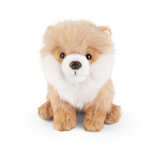 plush Pomeranian 