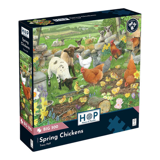 spring chicken puzzle in box 
