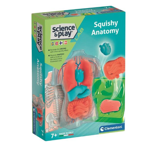 squishy anatomy playset in packaging 