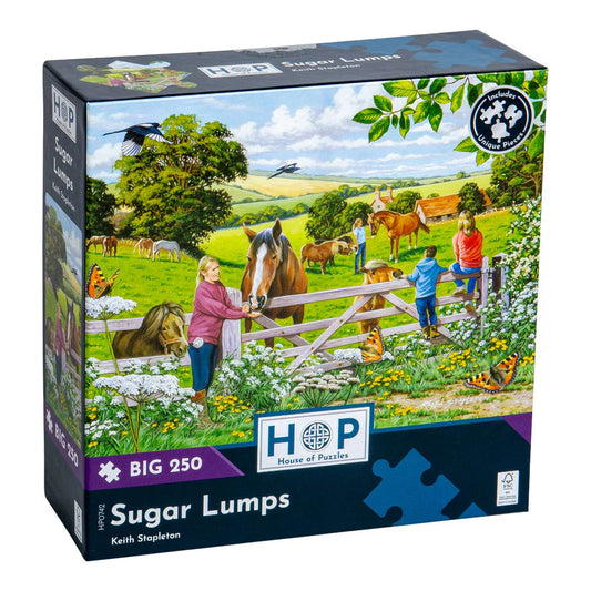 sugar lumps puzzle box 