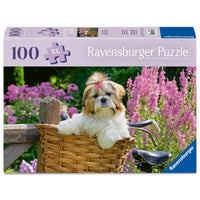 sweet little dog puzzle box 