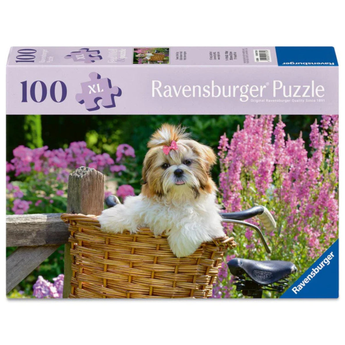 sweet little dog puzzle box 