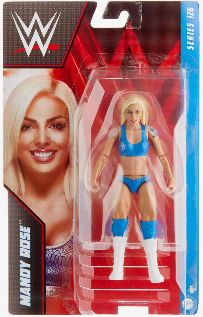 WWE Basic Action Figure