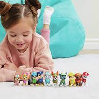 Paw Patrol The All Paws Gift Pack