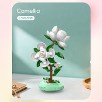 Features white camellia-style flowers in a plant pot