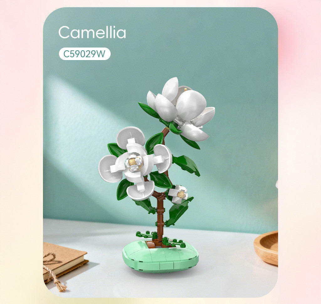 Features white camellia-style flowers in a plant pot