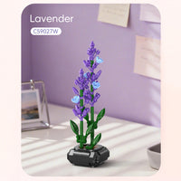 Features purple lavender flowers and green stems in a plant pot