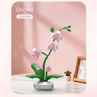 Features orchid flowers in white and pink tones with green stems
