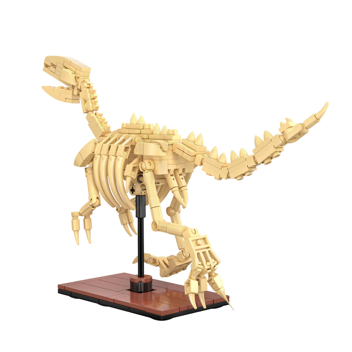 Glow-in-the-dark bone pieces create an eye-catching display