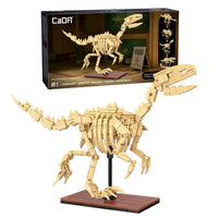 256-piece Velociraptor skeleton construction kit