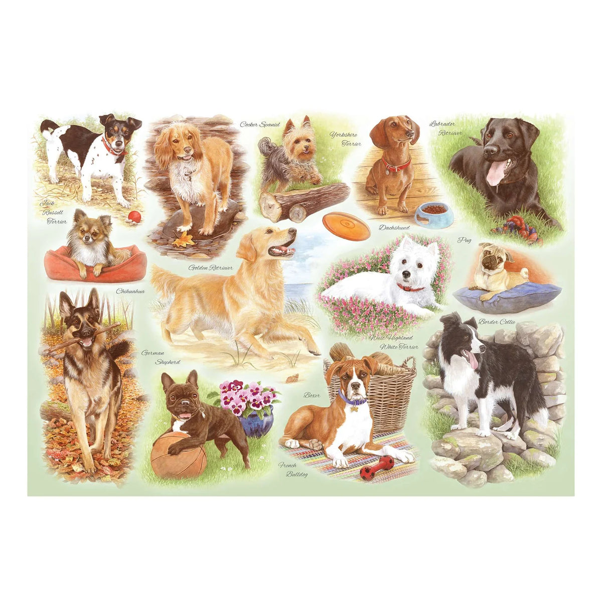 Animals and Wildlife theme by artist Tracy Hall 