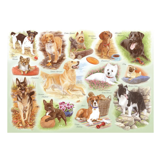 Animals and Wildlife theme by artist Tracy Hall 