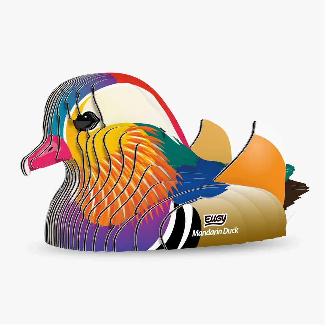 toys at foys Mandarin Duck1