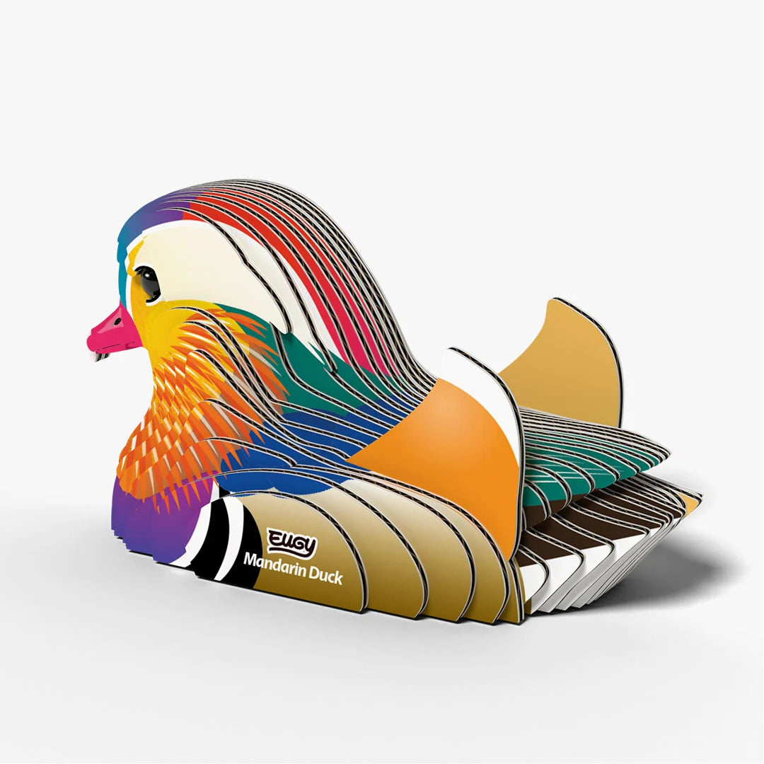 toys at foys Mandarin Duck4