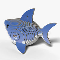 shark