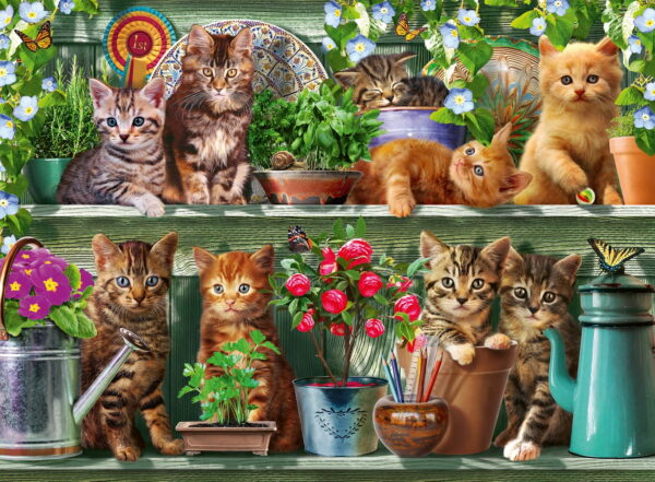 Ravensburger Cats On The Shelf Puzzle