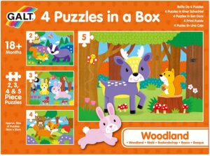 4 Puzzles in a Box – Woodland