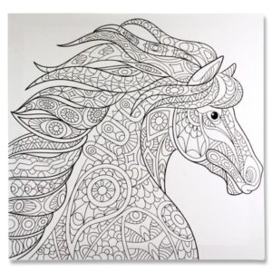 Icon 500x500mm Colour My Canvas – Horse