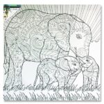 Icon 500x500mm Colour My Canvas – Elephant