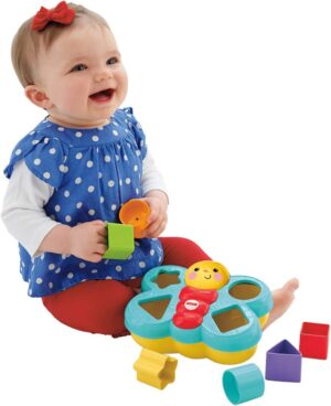 Fisher Price Butterfly Shape Sorter