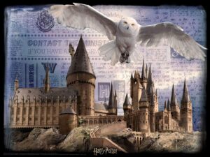 Harry Potter Hogwarts and Hedwig 3D Puzzle 500p