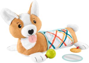 Fisher-Price 3-in-1 Plush Puppy Wedge