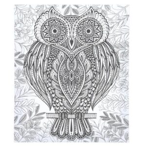 Icon 250x300mm Colour My Canvas – Owl