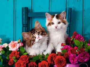 Ravensburger Kittens and Roses 500 Piece Jigsaw Puzzle