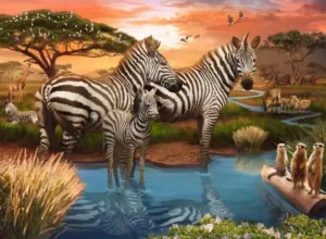 Ravensburger Zebra’s at waterhole 500 Piece Jigsaw Puzzle