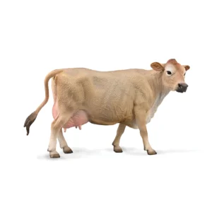 Jersey Cow